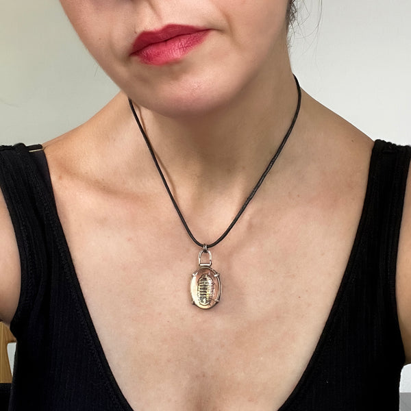 Oval Sterling Silver Pendant Featuring Copper Plate Etched with an Isopod Under Glass on a Vegan Choker Necklace