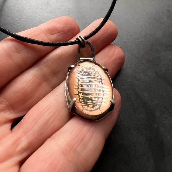 Oval Sterling Silver Pendant Featuring Copper Plate Etched with an Isopod Under Glass on a Vegan Choker Necklace