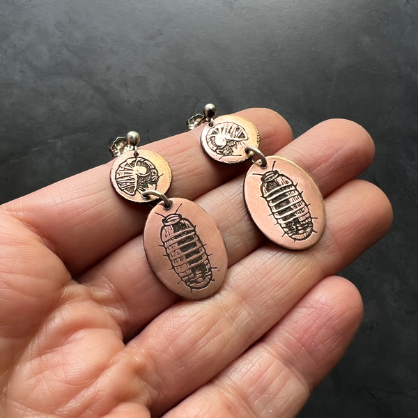 Etched Copper and Sterling Silver Pillbugs, Sow Bugs, or Roly Poly Isopod Earrings — from the new arthropod & insect jewelry collection