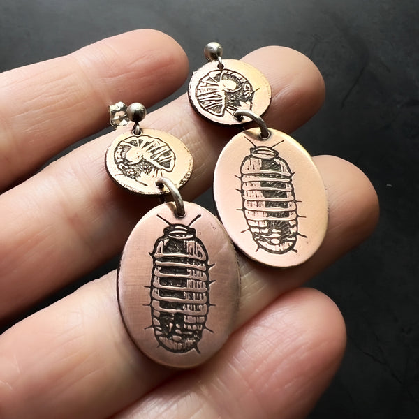 Etched Copper and Sterling Silver Pillbugs, Sow Bugs, or Roly Poly Isopod Earrings — from the new arthropod & insect jewelry collection