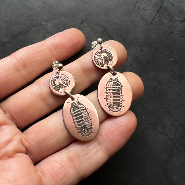 Etched Copper and Sterling Silver Pillbugs, Sow Bugs, or Roly Poly Isopod Earrings — from the new arthropod & insect jewelry collection