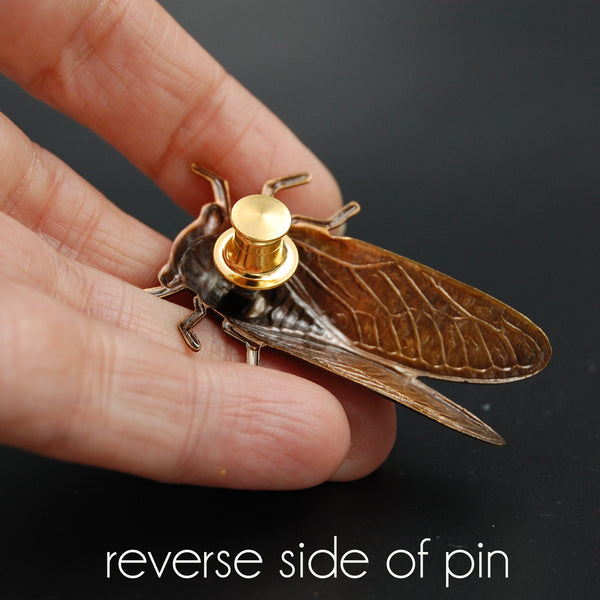 Brass Cicada Insect Pin or Brooch