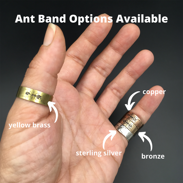 Handmade Bronze Eternity Ant Insect Ring Band