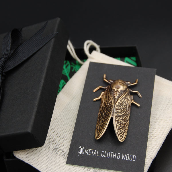 Brass Cicada Insect Pin or Brooch