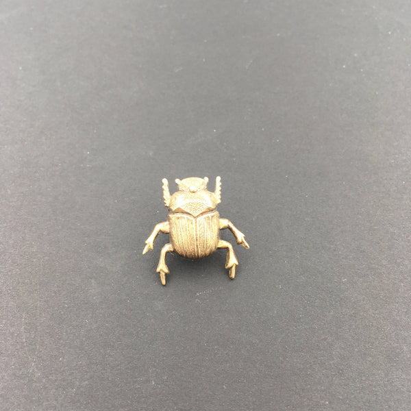 Brass Scarab Beetle Insect Brooch or Pin