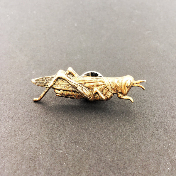 Brass Grasshopper or Cricket Insect Pin or Brooch
