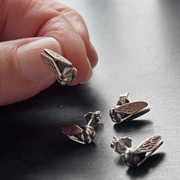 Hand Cast Sterling Silver Cicada Stud Insect Earrings – Also Available in Bronze, or Brass, or Silver with 14k Wings – Nature Jewelry