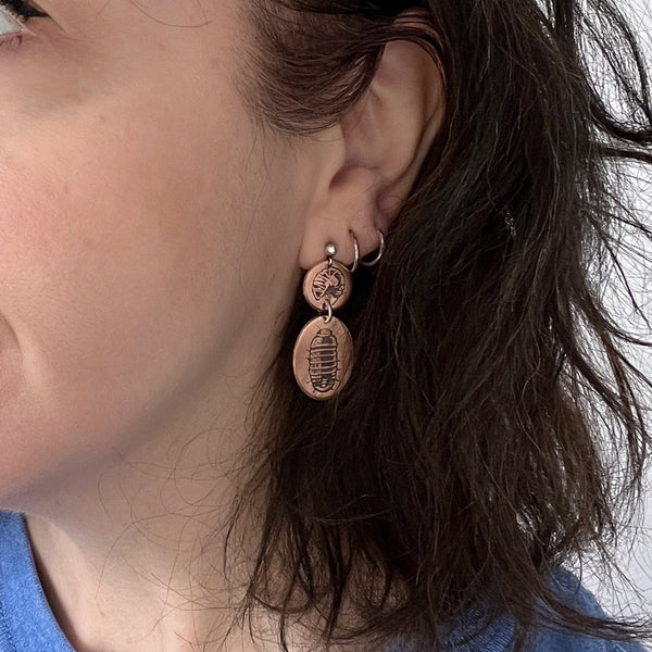 Etched Copper and Sterling Silver Pillbugs, Sow Bugs, or Roly Poly Isopod Earrings — from the new arthropod & insect jewelry collection