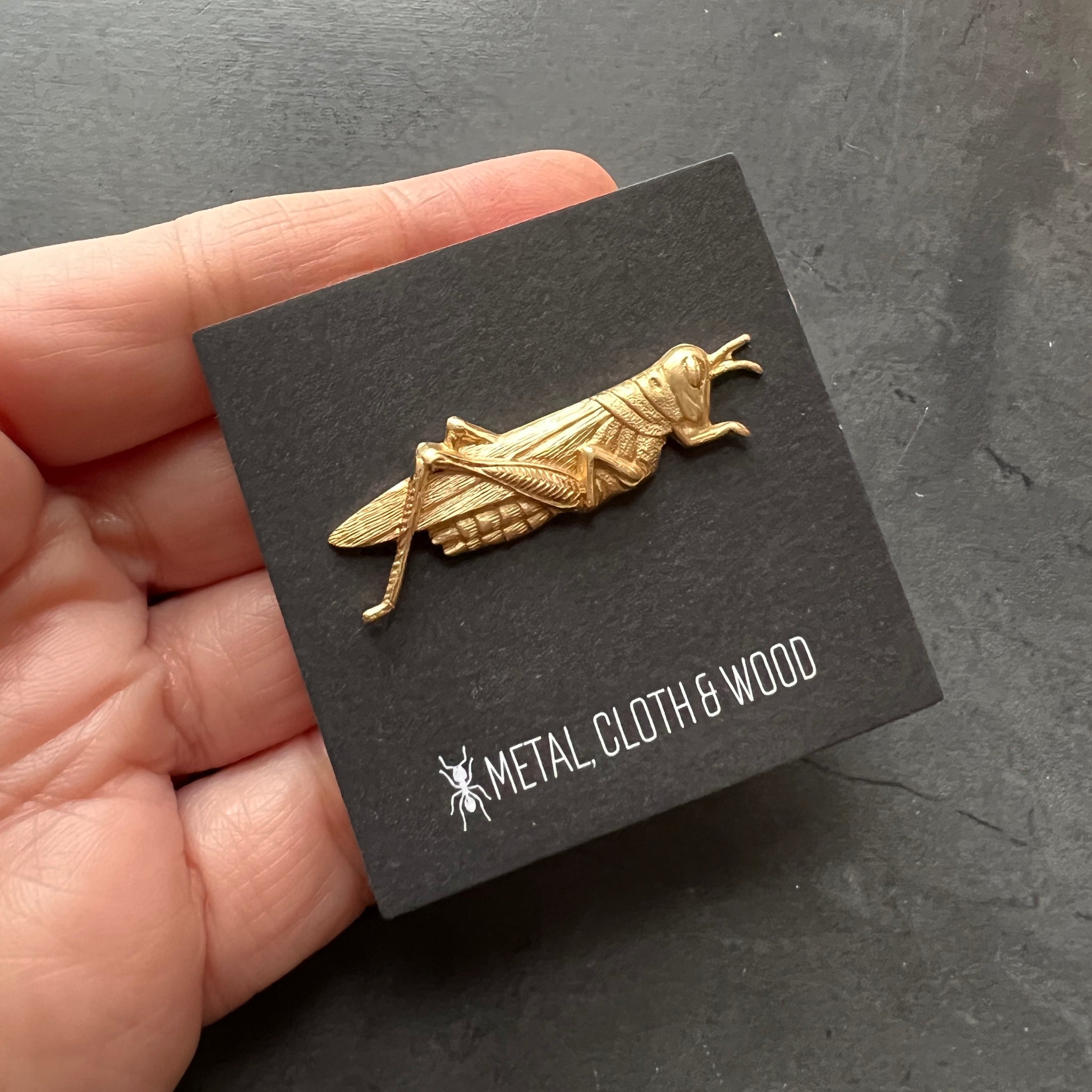 Brass Grasshopper or Cricket Insect Pin or Brooch