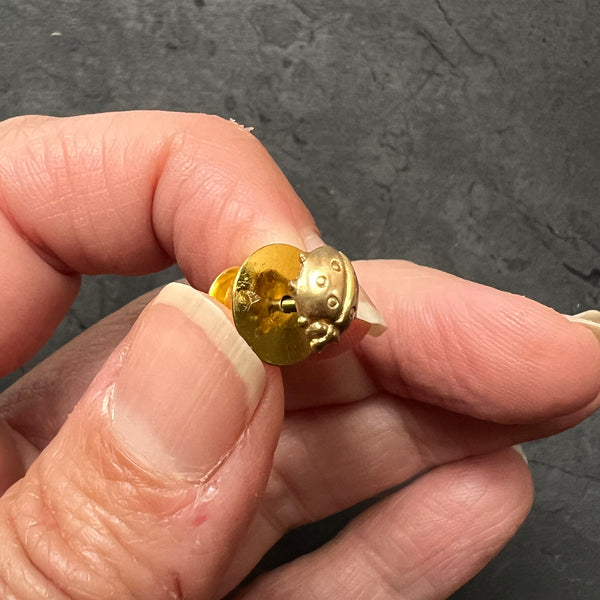 Brass Ladybug Pin or Ladybird Beetle Insect Brooch