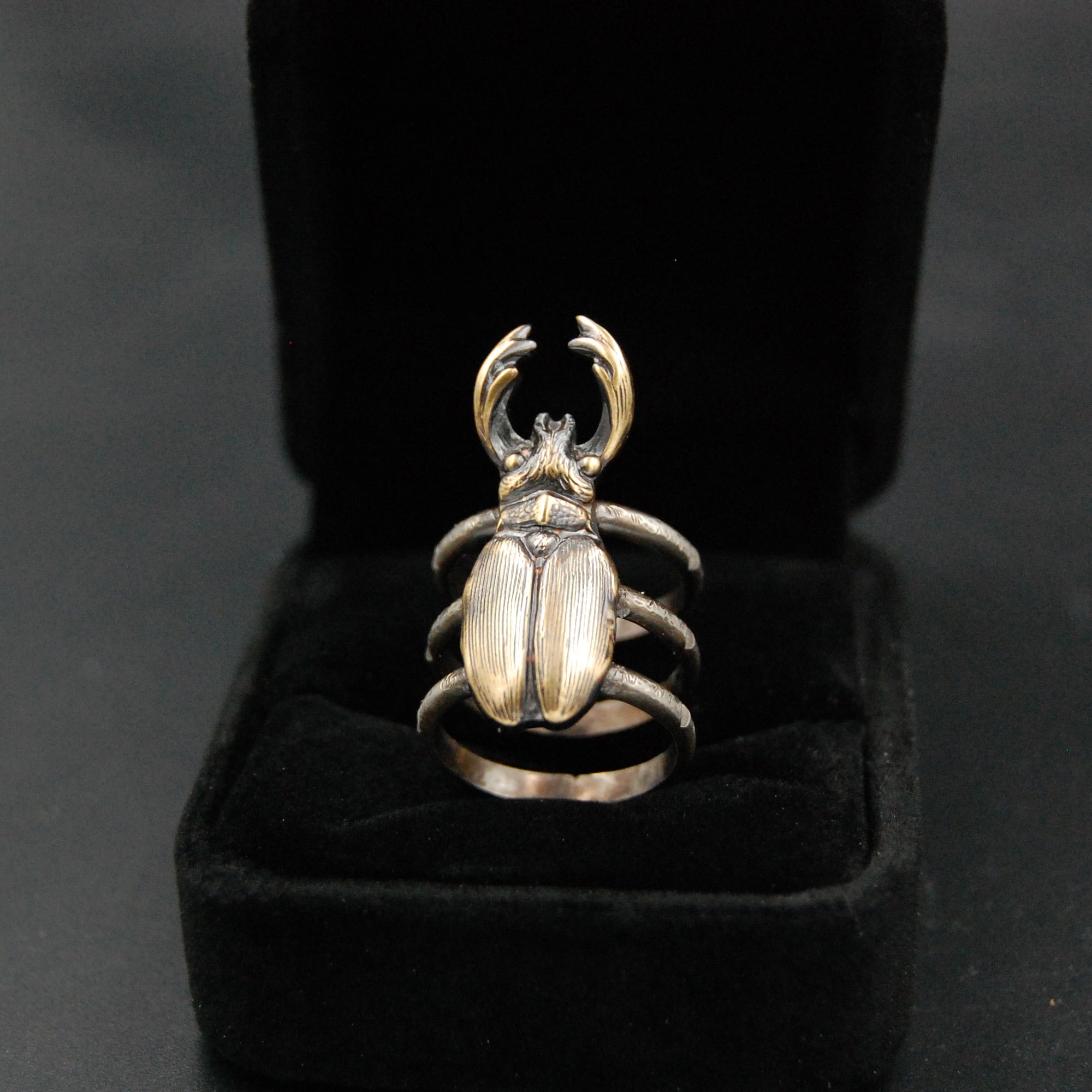 Stag Beetle Ring – Brass and Sterling Silver Insect Ring