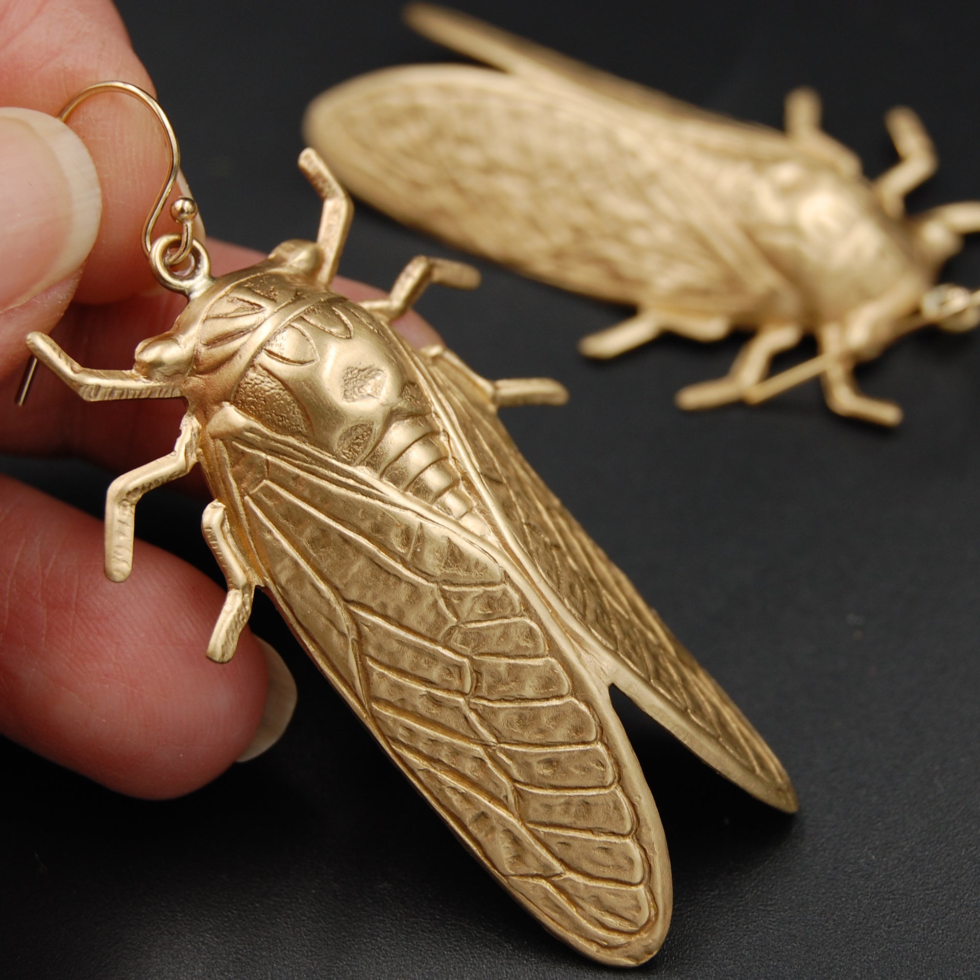 Cicada Pin, Insect Pin, Insect Brooch, Bug Pin, Bug Jewelry, Insect Jewelry,  Cicada Jewelry, Dog Day Cicada, Cicada Brooch, Cicada Jewelry 