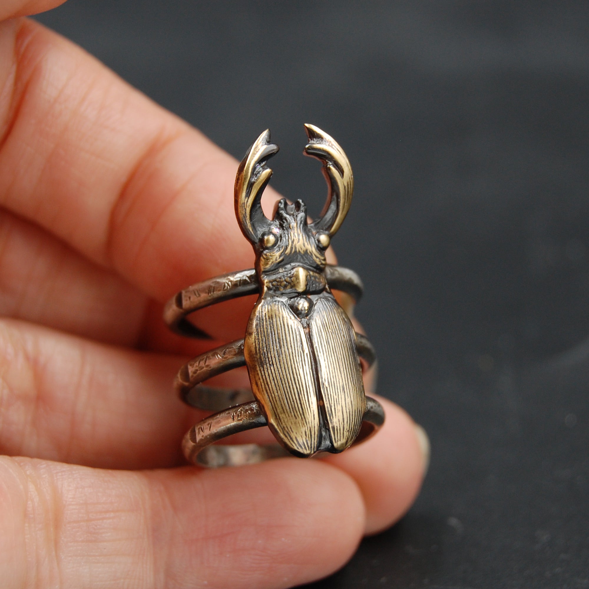 Stag Beetle Ring, Bug high quality Ring, Insect Ring