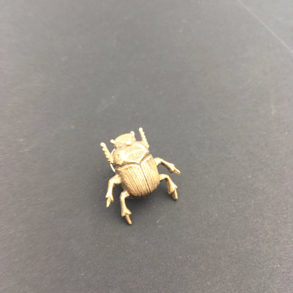Brass Scarab Beetle Insect Brooch or Pin
