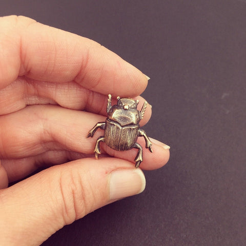 Brass Scarab Beetle Insect Brooch or Pin