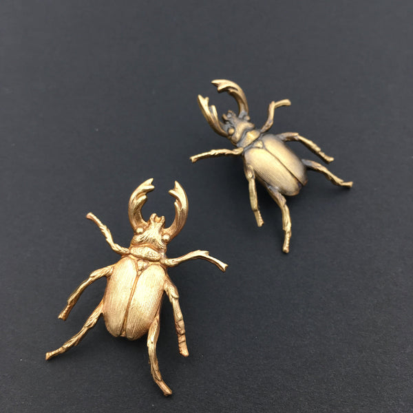 Brass Stag Beetle Insect Pin or Brooch