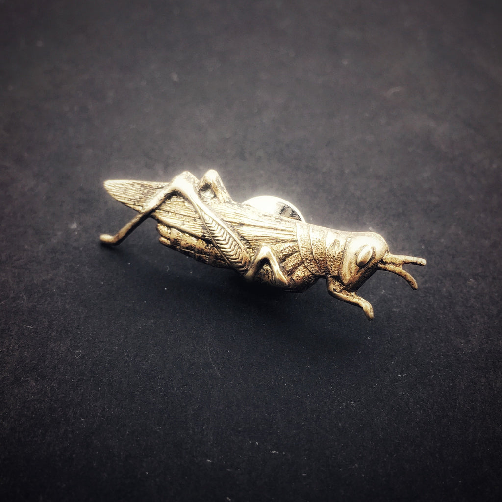Medium Brass Fly Pin Insect Pin Insect Brooch Bug Pin 