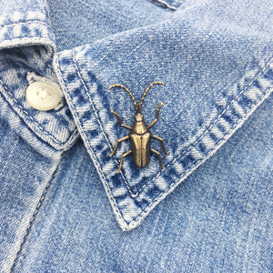 Brass Long Horned Beetle Insect Pin or Brooch