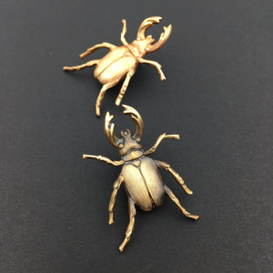 Brass Stag Beetle Insect Pin or Brooch