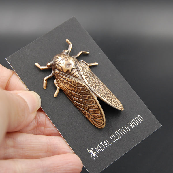 Brass Cicada Insect Pin or Brooch